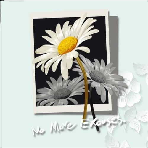 Little Daisies Photo frame Patches for Clothing Iron on Flower Stickers DIY Patch for Kids Heat Transfers Bag Clothes Appliqued