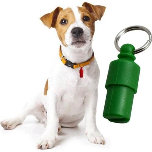 6 Pcs/set Pet Cat Dog ID Name Identity Card Pendant Anti-lost Hanging Ornaments Plastic Pill Shaped Jewelry for Pet Outdoor Wear