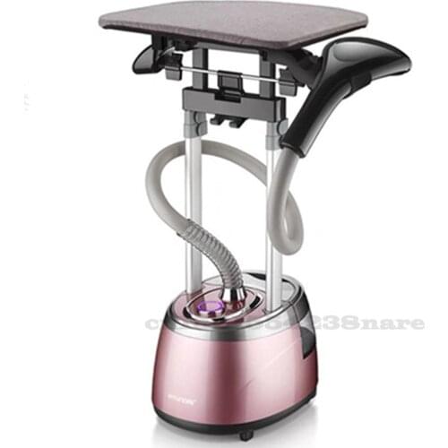 220V/2000W Hanging Ironing Machine Household Vertical Double Pole Garment Ironing Multifunctional Steam Hanging Ironing