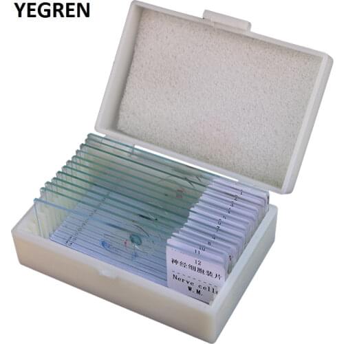 12 pieces Prepared Microscope Slides Glass Biological Specimen Animal Plant Human Tissue Slide for Student Education Studying