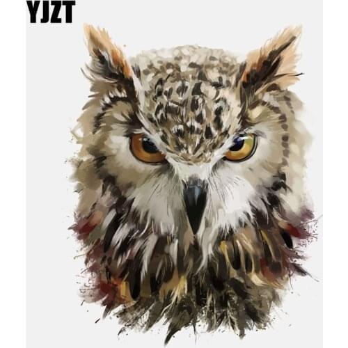 YJZT 12.4CM*15.4CM Sharp Eyes Of The Owl PVC High Quality Car Sticker 11-01281