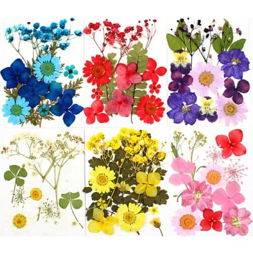 6 Set Real Dried Pressed Flowers Mixed Multiple Dry Flower DIY Candle Resin Jewelry Pendant Crafts Dried Flowers Scrapbooking
