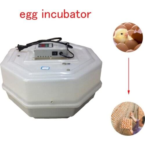 60 Eggs Automatic Egg Incubator Egg Cracking Constant Temperature Incubator Digital Temperature Controller