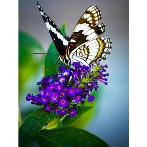 5D DIY Diamond Painting Butterfly Picture Of Rhinestones Mosaic Diamond Embroidery Cross Stitch Animals Home Decor