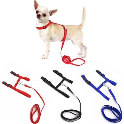CAZZO Products For Dogs