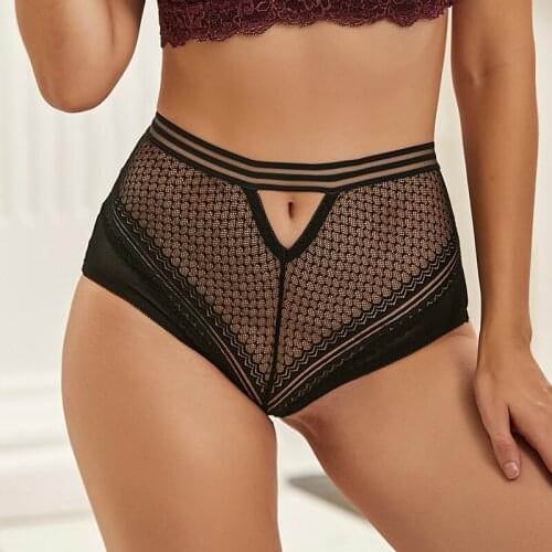 Transparent Womens Underwear High Waist 5XL Mesh Lingerie Plus Size Sexy Panties Erotic Briefs Stitching Lace Intimates PS5154P