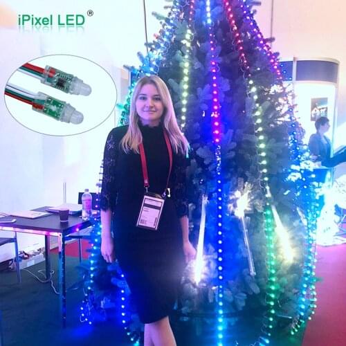 5V Waterproof 12mm RGB WS2801/TM1914 IC Led Pixel Chrismas Light
