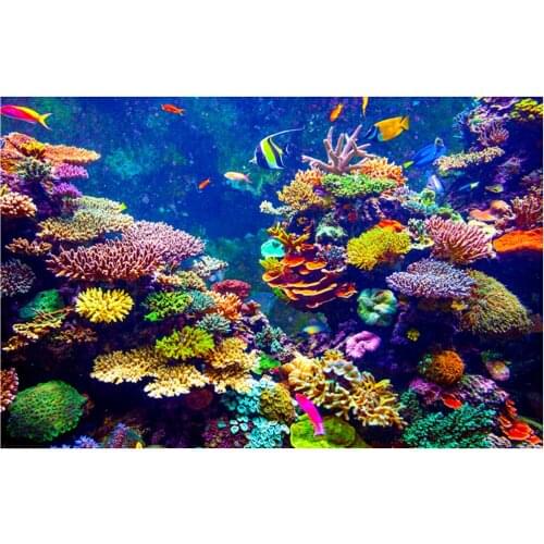 Colorful print Wall Tapestry underwater world tapestry M3114