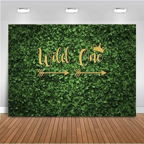 Mocsicka Wild One Backdrop Vinyl Fabric Summer Green Grass Photo Backdrops Summer 1st Birthday Photography Background