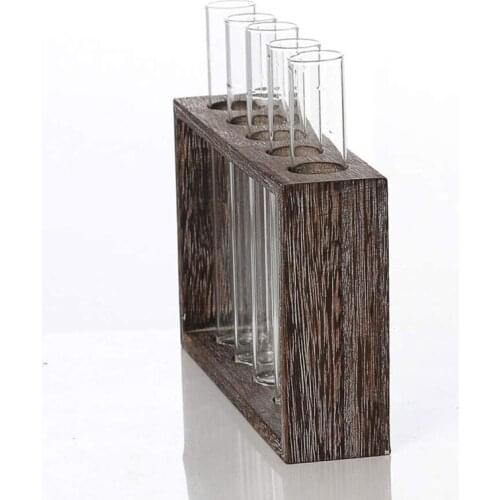 Test Tube Rack Planter, Transparent Hydroponic Flower Clear Vase with Wood Stand U2JC