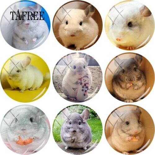 JOINBEAUTY Jewelry Findings