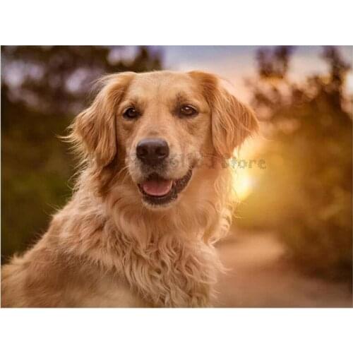 New Arrivals 5D Diamond Painting Full Square Round Diamond Mosaic labrador Dog Animal Diamond Embroidery Cross Stitch GG4739