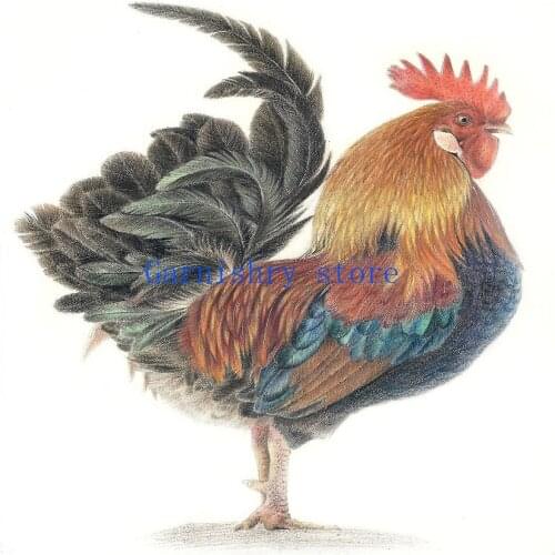 5d Diamond Painting colourful Animals Cross Stitch Kits Diy Mosaic Home Decor Diamond Embroidery Full drill Art