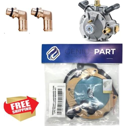 Landi Landirenzo LPG CNG GPL Reducer Repair Kit Landirenzo Vaporizer Diaphragm Seal Set
