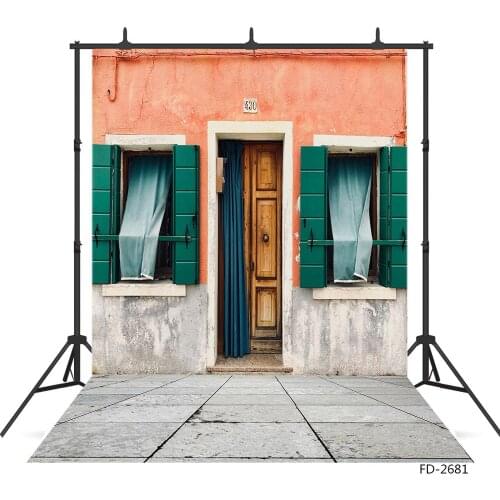 Pink Gray Wall Wooden Door Green Window Photography Studio Background Vinyl Backdrops for Children Lovers Portrait Photoshoot