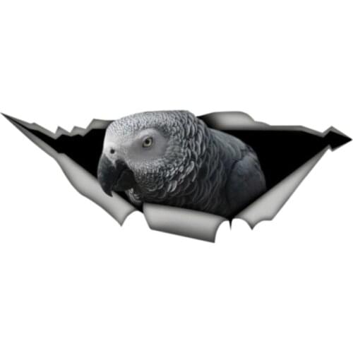 African Grey Parrot tears car sticker. Personal products, lovely portable motorcycle auto parts, PVC, animation auto parts