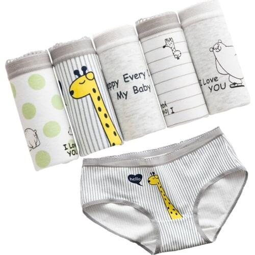 5 Pcs/lot Panties Womens Underwear Sexy Cotton Briefs Lingerie Panty Underpant Seamless Calcinhas Girls Boxers Lovely Shorts