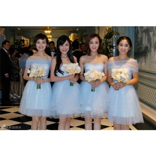 Blue Purple Sister Cheap Short Bridesmaid Dresses Bridesmaid Dress Grape For Wedding Guests Sister Plus Size Party Dresses 9530