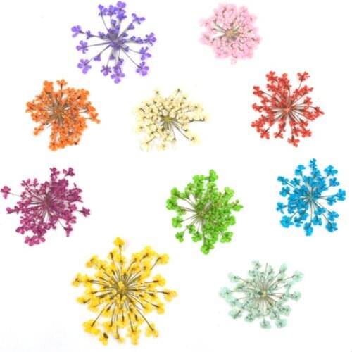 DF003 High Quality Dry Flowers Nature For Ring And Necklace Mold Handmade Crafting Genuine Botanical Jewelry