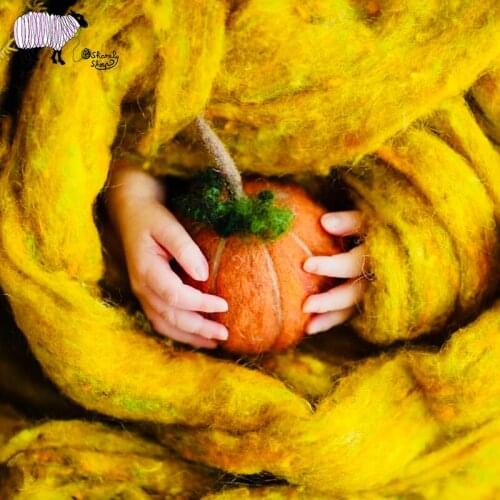 Newborn Felt Photography Stretch Mohair Wraps Props Baby Girl Boy Hallowmas Photo Shoot Pumpkin Prop fotografia Felt Accessories