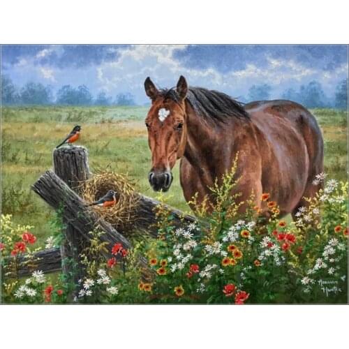 Counted Cross Stitch Kits Needlework Embroidery - Crafts 14 ct Aida DMC Color DIY Arts Handmade Home Decor - Horse Birds