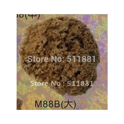 5'' Large NATURAL sea grass sponge for wall painting FREE shipping | 125mm art grass sea sponge