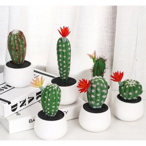 50% Dropshipping!!Simulation succulents cactus bonsai garden landscape home decoration