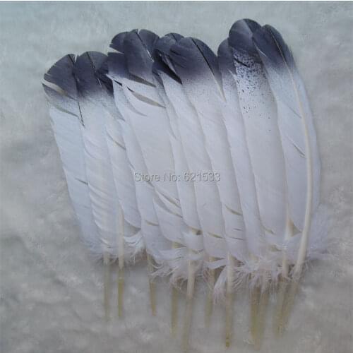 30Pcs/lot!25-30cm long Turkey quill feathers with black plating top,Fly Tying or Crafts, turkey feathers