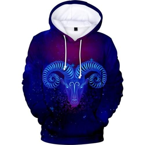 12 Zodiac Signs Hoodie Sweatshirt Aries Taurus Gemini Cancer 12 Constellation 3D child Print Boys/Girls Casual Clothes