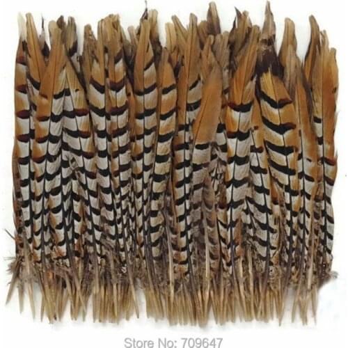 50PCS/LOT!12-14" 30-35cm Reeves Pheasant Feathers,Loose Natural Reeves Venery Pheasant Tail Feathers,feathers decoration