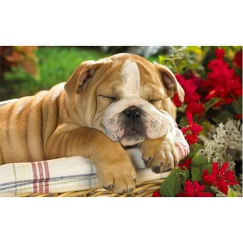 Dog diamond embroidery, diamond painting dogs square rhinestones