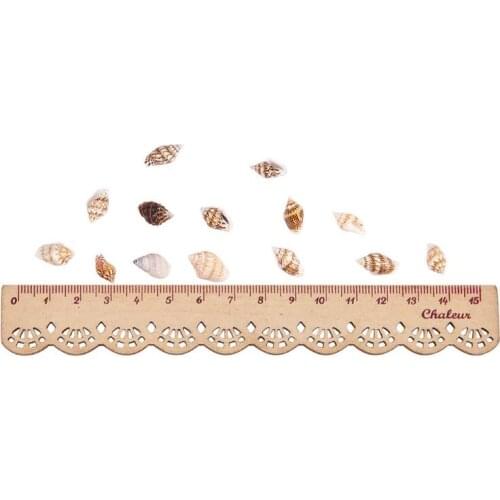 Over 1300 Pcs Mini Natural Beige ShellConch Beads Seaside Candle Jewelry Making