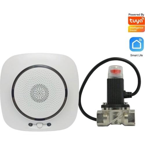 Security Fire Alarm Natural Gas leakage Sensor TUYA WIFI Smart Life APPs Kitchen Coal gas Detector DN15 Valve EU Plug