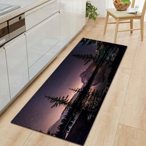 Nature Series Fog And Snow Getting Started Mat Kitchen Floor Mat Bedroom Floor Decoration Living Room Bathroom Carpet