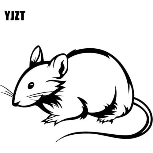 YJZT 15.6CM*10CM Rat Car Stickers Pattern Decor Car Trunk Vinyl Decal Accessories Black/Silver C4-2471