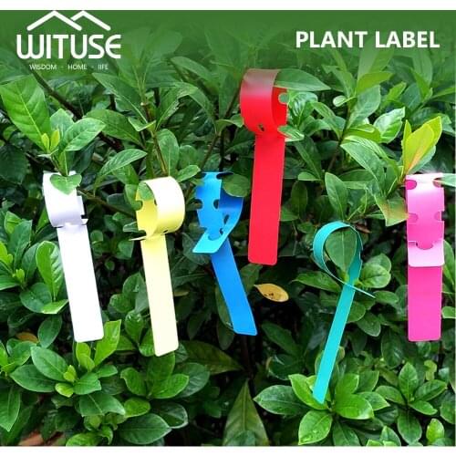 100/300pcs Plastic Stake Tied Tag Garden Plant Pot Markers Court Lawn Labels Flower Yard Court Plant Labels Marker Nursery