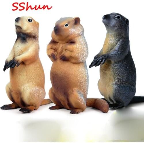 Children solid simulation wild animal world toy mouse chipmunk groundhog squirrel plastic model decoration