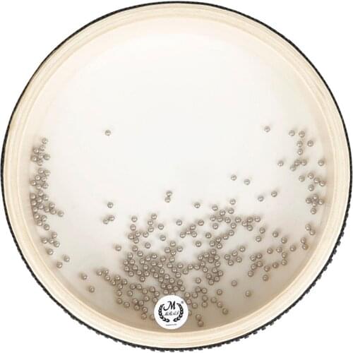 6-inch Transparent Wave Drum Natural Color Ocean Drum Early Educational Percussion Instrument for Children Boys Girls