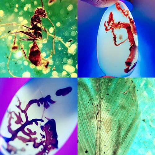 Ancient Myanmar Po] pure natural Myanmar amber insect Po plant Po Pendant Bracelet Ring Bracelet with 108 long chains