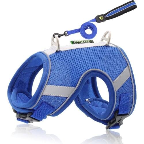 Fashion New Pet Dog Traction Rope Mesh Breathable Dog Chest Harness and Leash Set Comfortable Dog Walking Rope Chain