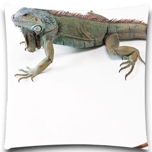 Lizard Pattern Animal Pillow Case Cotton Polyester Chair Seat and Waist Square 18 Inches Home Living Textile