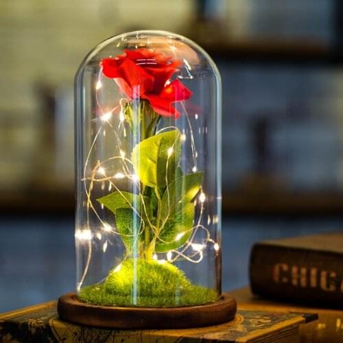 USB LED Beauty Rose and Beast Battery Powered Red Flower String 2019 Valentines Day Mothers Day Gifts