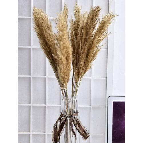 10pcs Real Pampas Grass Natural Dried Flower Plants Home Wedding Party Xmas Grass Bouquet Reed Decor Real Pampas Merry Plant