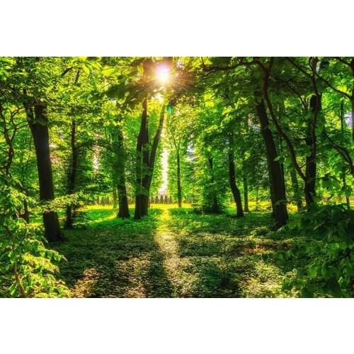 Outdoor child photo-shot backgrounds photography vinyl summer forest photo backdrops for photographer studio video kits lv-2136