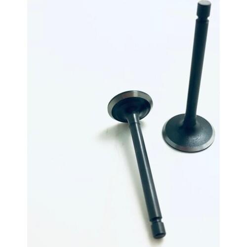 NEW YBR125E Inlet Valve and Exhaust Valve for YBR 125