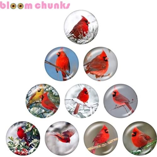 Christmas Cardinals 10pcs mixed 12mm/18mm/20mm/25mm Round photo glass cabochon jewelry flat back Making findings A7805