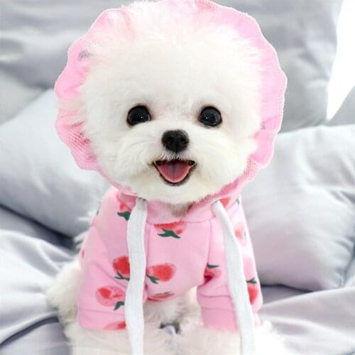 Pet New Dog Clothes Hoodie Winter Warm Pet Cute Small Dog Clothing Puppy Sweater Clothes Chihuahua Bulldog Yorkie Jacket