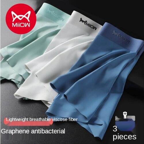 MiiOW Mens Panties Mens Ice Silk Unmarked Antibacterial Flat Pants Trend Four-pointed Boys Shorts Head Sexy Tumultuous