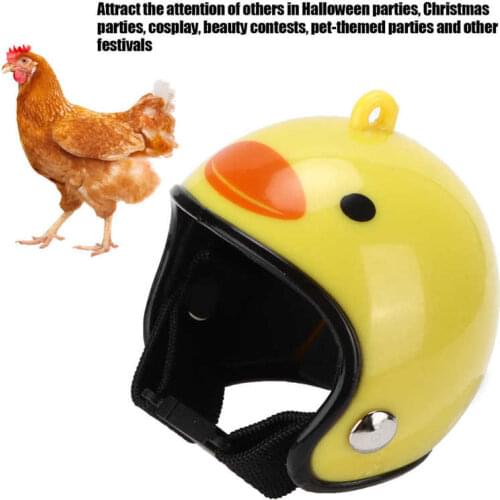 Chicken Helmet Small Headwear Funny Pet Helmet Accessories for Small Chickens and Birds Pet Supplies