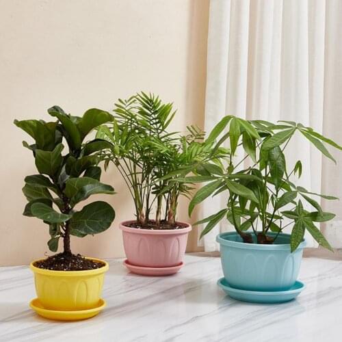 Multifunction Practical Plastic Flower Vegetable Planters Pot with Tray Premium Flower Pot Helpful for Living Room